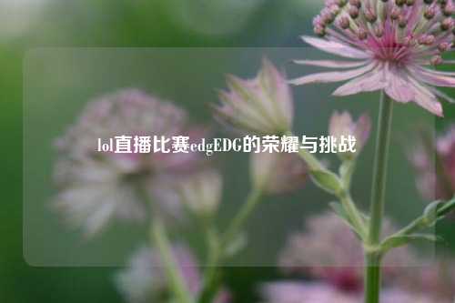 lol直播比赛edgEDG的荣耀与挑战
