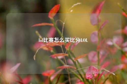 lol比赛怎么买比分LOL