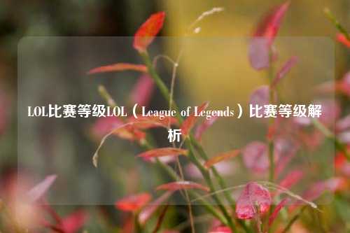 LOL比赛等级LOL（League of Legends）比赛等级解析