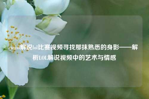 miss解说lol比赛视频寻找那抹熟悉的身影——解析LOL解说视频中的艺术与情感