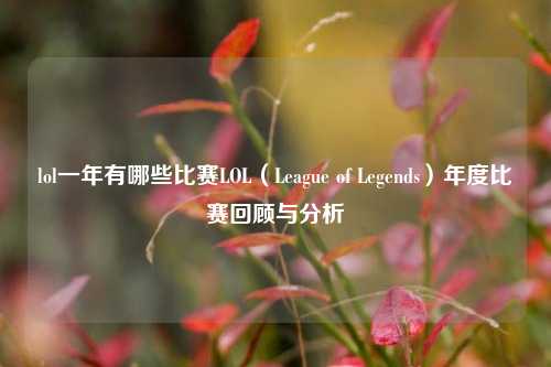 lol一年有哪些比赛LOL（League of Legends）年度比赛回顾与分析